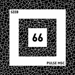 66ème Pulsation - SZEB