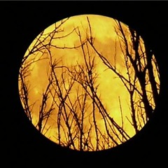 Geefer Sutherland Explores The Spooky And Scary