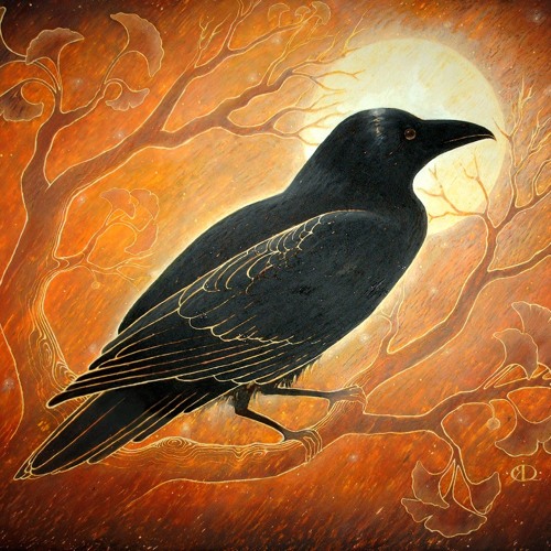 Stream Sacred Bass Sessions Listen To HALLOWE EN Lifting The Veils 