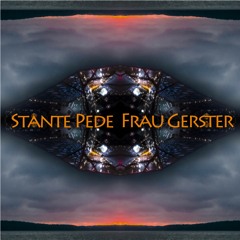 3 Stante Pede - Frau Gerster (Kopfüber Sampler 2)
