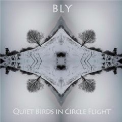 4 BLY - Quiet Birds In Circle Flight (Kopfüber Sampler 2)