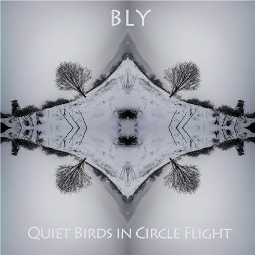 4 BLY - Quiet Birds In Circle Flight (Kopfüber Sampler 2)