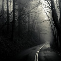 Dark Forest (Teaser 2)