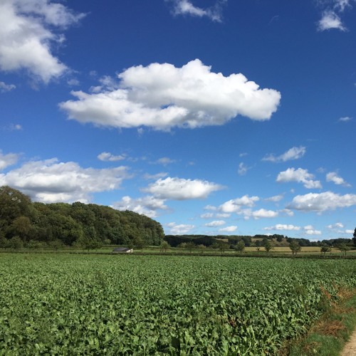 Udu Clouds