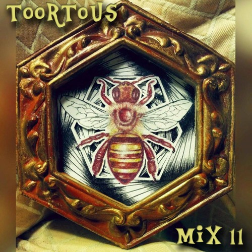 toortous Mix 11