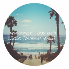 Trey Songz - Say aah (Calle Törnkvist remix)