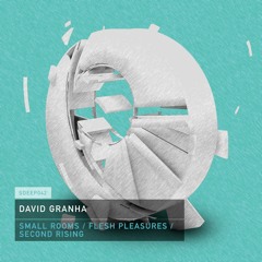 David Granha - Flesh Pleasures (Preview)
