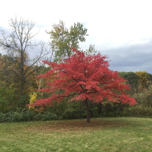 ryan's rotation ~ monday mix #93 ~ 10-19-15