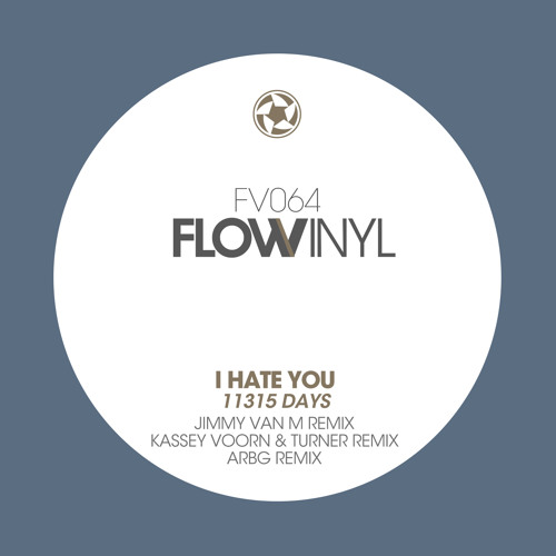 I Hate You - 11.315 Days (Kassey Voorn & DJ Thomas Turner Remix)