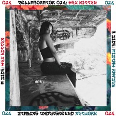 Collaborator 026 w/ Hex Kitten ∞  Mixcloud.com/StayingUnderground/upload
