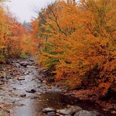 dry streams (ep preview)