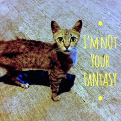 I'm Not Your Fantasy (Summer 2015 Premix)