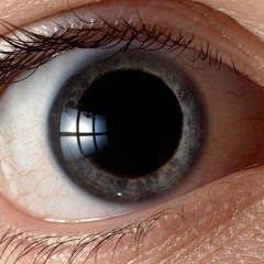 Delirios de un niño atrapado en sustratos - Prod. Snake