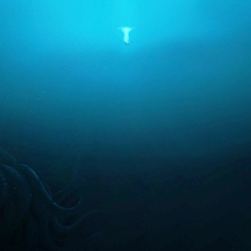 Shallow Waters (Prod. by Canis Major)