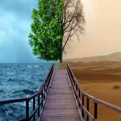 Lost- Mtree The Great