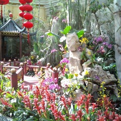 Thanks for the Flowers