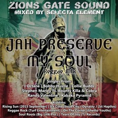"Jah Preserve My Soul" - 2015 Reggae Mix - Zions Gate Sound (Selecta Element)
