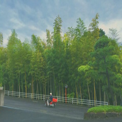 Bamboo Solitorius - L0V3 0.1