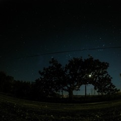 YesYes Procrastinate (Unmastered Preview)