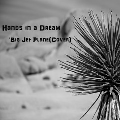 Big Jet Plane (Cover)