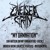 Artwork for Andrew Baena(Galactic Pegasus) & Dan Watson (Infant Annihilator) - My Damnation (Chelsea Grin Cover)