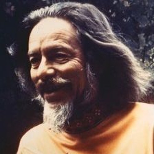 Alan Watts - What if money were no object?