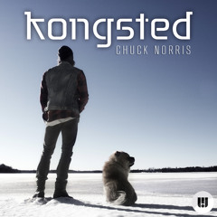 Kongsted - Chuck Norris (Fabian Mazur Remix)