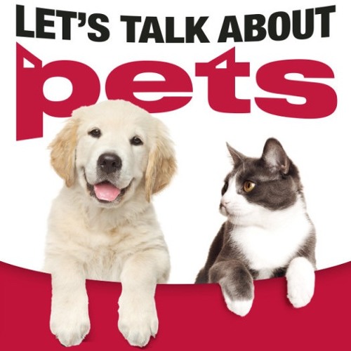 Stream Lets Talk About Pets by University of Guelph | Listen online for ...