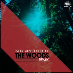 The Woods Remix ft. Lil Dicky