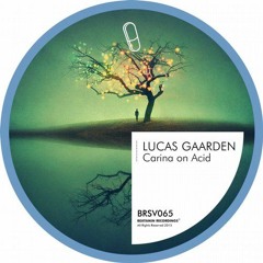Lucas Gaarden - Fertise [Beatamin Recordings]