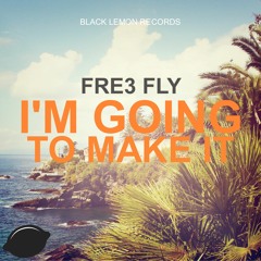 Fre3 Fly - I'm Going To make It (Danny Cotrell Remix)