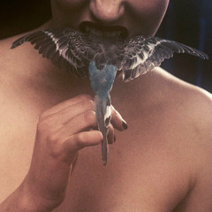 Skies Ft. SKECH185 (Loden Remix)