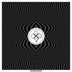 06 Silver Daisy