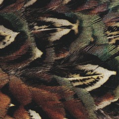 BH24 Hodge - Burned Into Memory