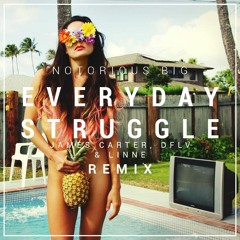 The Notorious B.I.G. - Everyday Struggle (James Carter, DFLV  & Linne Remix)