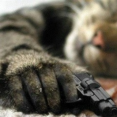 ⚛∆NGRY ΠABLEFLIP - ⚅⚂ ♍ḭℓℓỉȿ⚛ 399 FOLLOWERS FREE TUNE