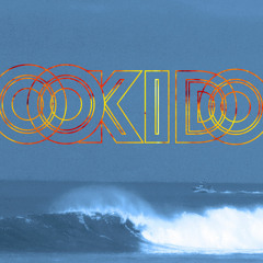 Echoes of The Silent World