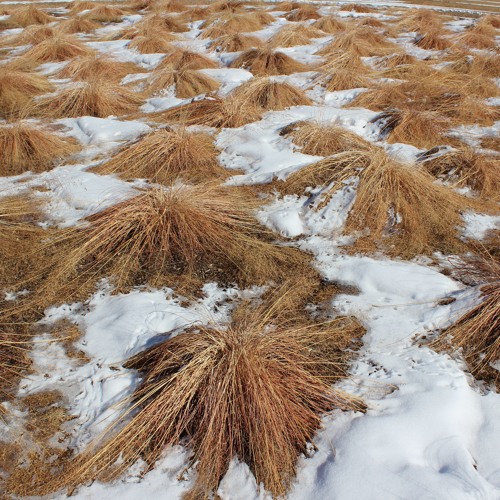 Stream What Is Holotropic Breathwork? by AcademySantaFe | Listen online