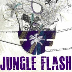 JamCoast Feat D - Vibe & Tadiman - Jungle Flash Festival Anthem 2015 (Remix)(FREE DL)