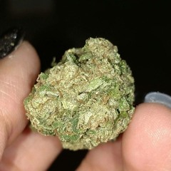 Unknown Hero & Stre$$ "Stoner Dude"