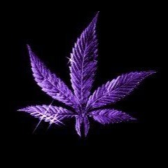 CC - Purple Haze 70bpm