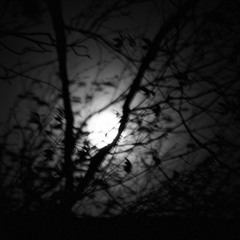 We Want To Help You See Again By Taking You To A Dark Hole