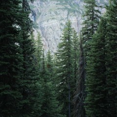 Nature Made