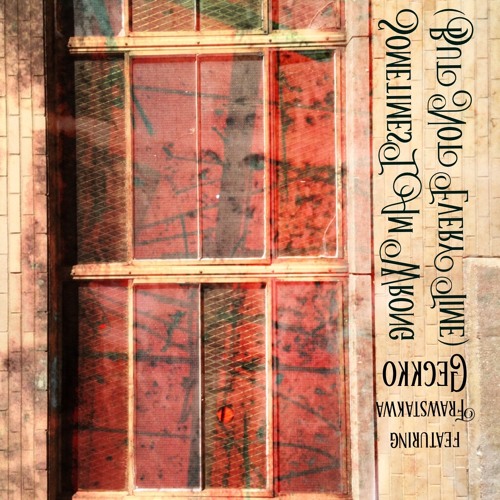 Sometimes I Am Wrong (But Not Every Time) by Geckko featuring Frawstakwa @geckko @frawstakwa