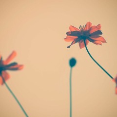 6812 (Mii and Tirn's Cover)