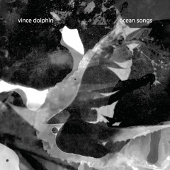Vince Dolphin - The First Seas