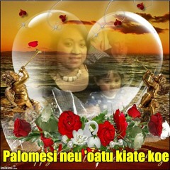 17 Palomesi Neu 'oatu Kiate Koe