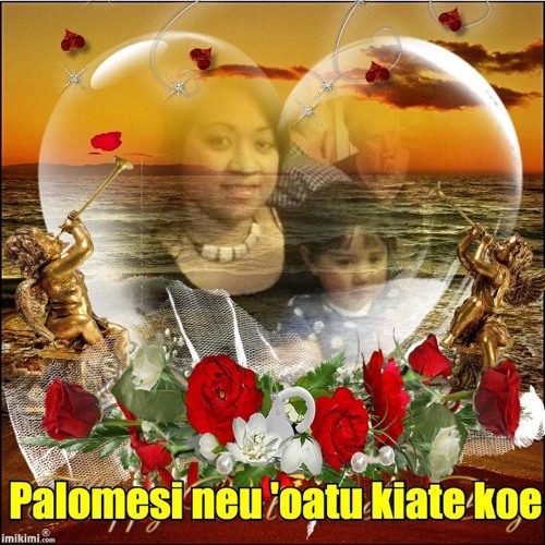 17 Palomesi Neu 'oatu Kiate Koe