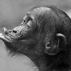 "Тобі" (Тіна Кароль кавер)