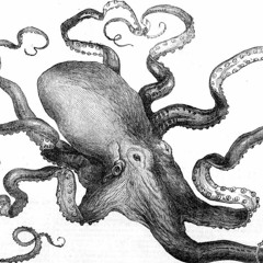 #03 Obscure Waves // tiefenelektronisch